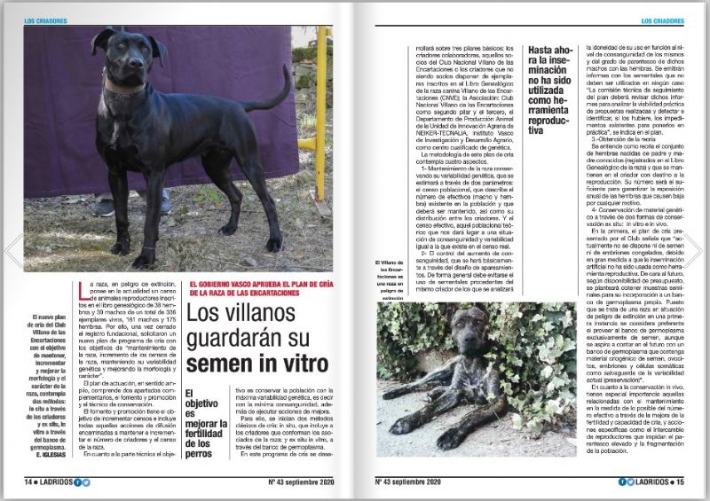Ladridos septiembre 2020